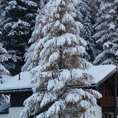 Meise * Obergesteln