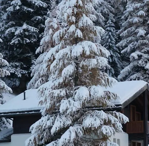 Meise * Obergesteln